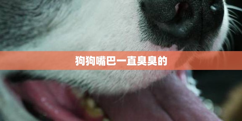 狗狗嘴巴一直臭臭的 狗狗嘴巴一直臭臭的