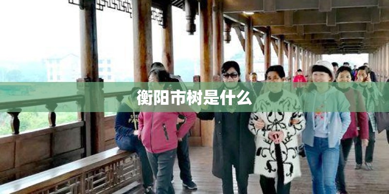 衡阳市树是什么