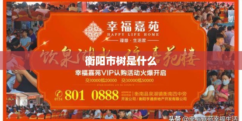 衡阳市树是什么