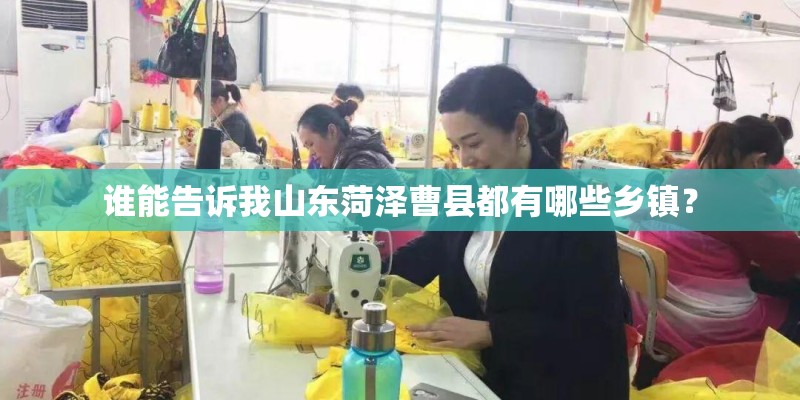 谁能告诉我山东菏泽曹县都有哪些乡镇？