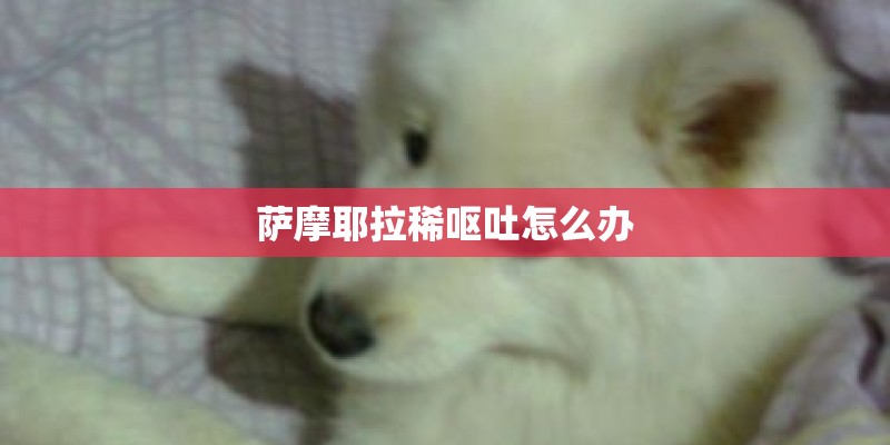 萨摩耶拉稀呕吐怎么办 萨摩耶拉稀呕吐怎么办