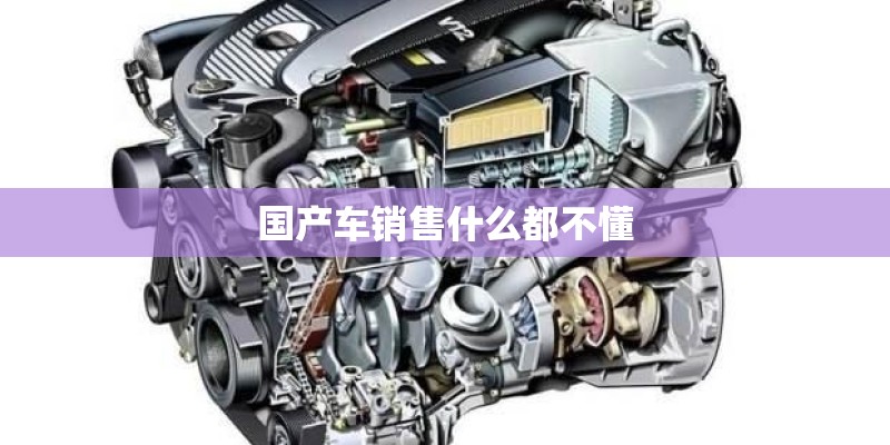 国产车销售什么都不懂