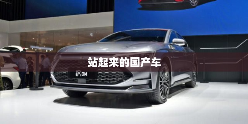 站起来的国产车