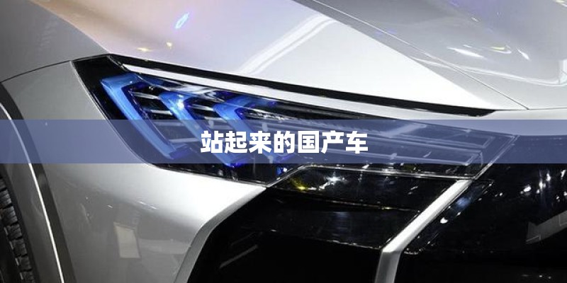 站起来的国产车