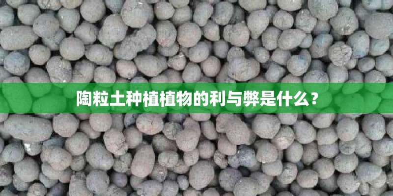 陶粒土种植植物的利与弊是什么? 陶粒土种植植物的利与弊是什么?