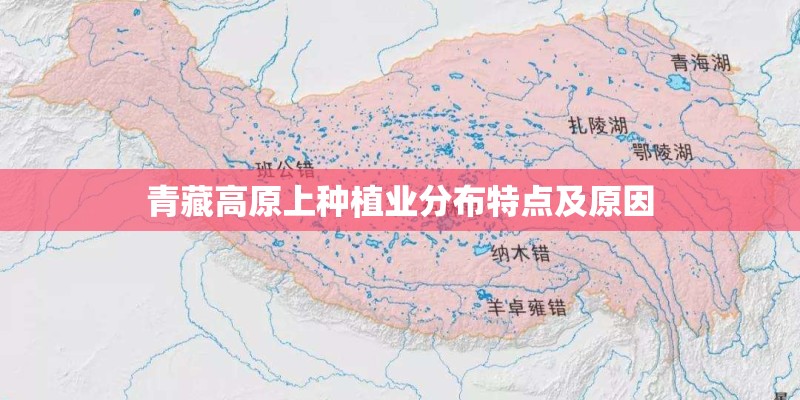 青藏高原上种植业分布特点及原因