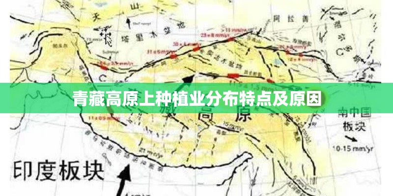 青藏高原上种植业分布特点及原因 青藏高原上种植业分布特点及原因