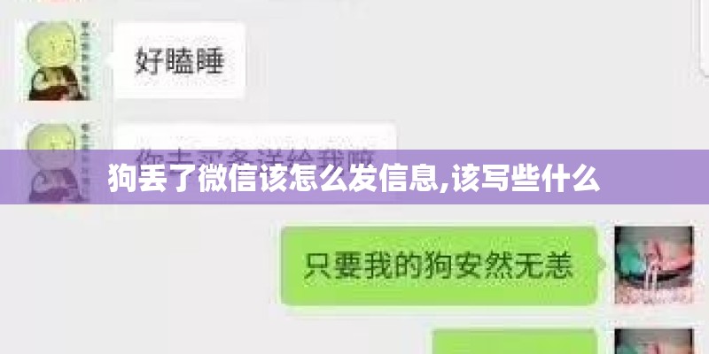 狗丢了微信该怎么发信息,该写些什么