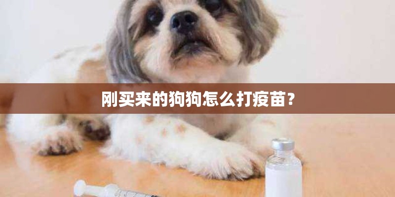 刚买来的狗狗怎么打疫苗？