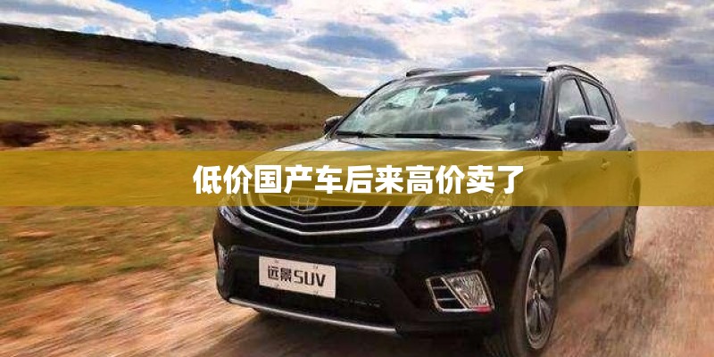 低价国产车后来高价卖了