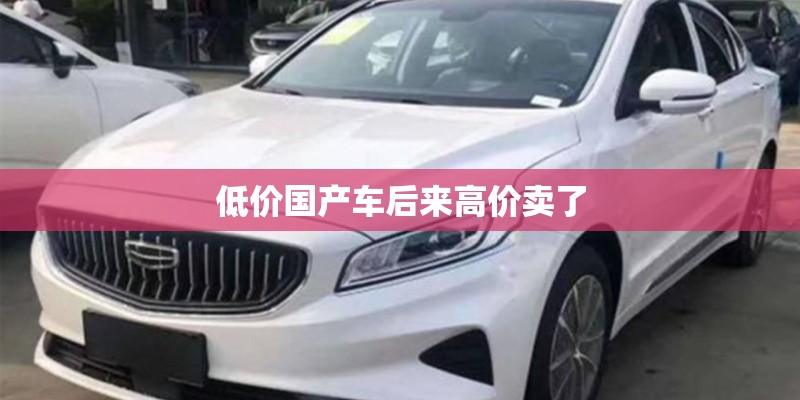 低价国产车后来高价卖了