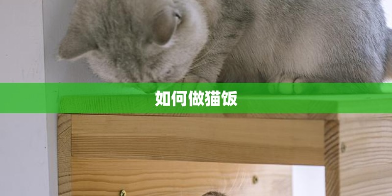 如何做猫饭