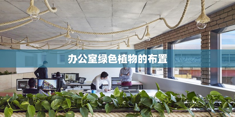 办公室绿色植物的布置