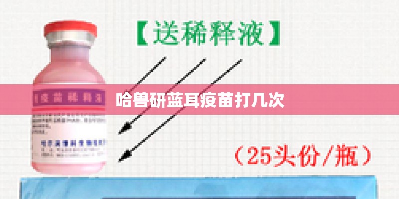 哈兽研蓝耳疫苗打几次