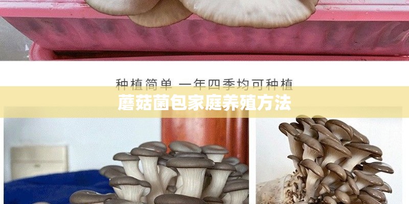 蘑菇菌包家庭养殖方法 蘑菇菌包家庭养殖方法