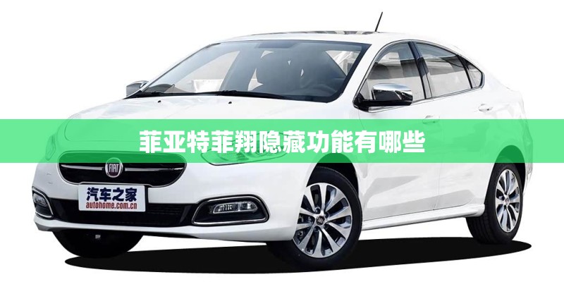 菲亚特菲翔隐藏功能有哪些