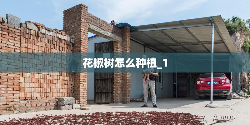 花椒树怎么种植_1