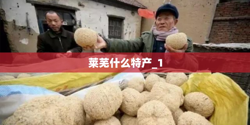 莱芜什么特产_1