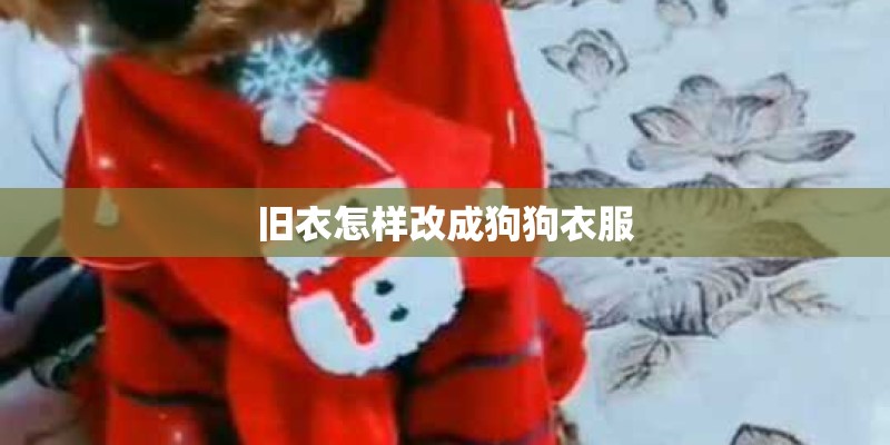 旧衣怎样改成狗狗衣服