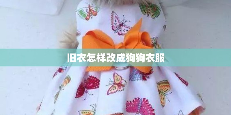 旧衣怎样改成狗狗衣服