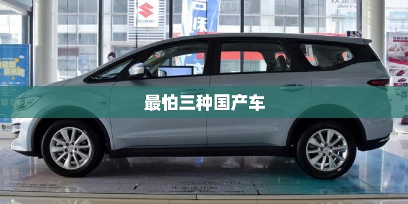 最怕三种国产车
