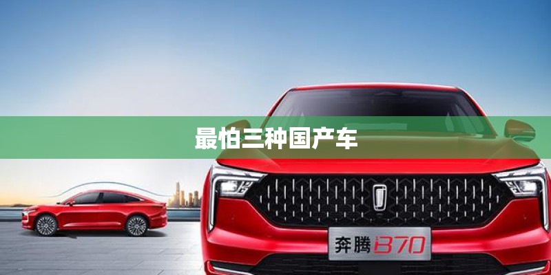 最怕三种国产车