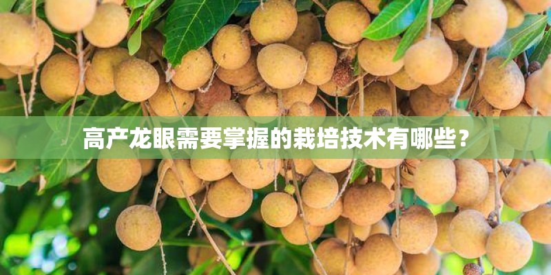 高产龙眼需要掌握的栽培技术有哪些？