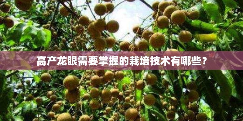 高产龙眼需要掌握的栽培技术有哪些？
