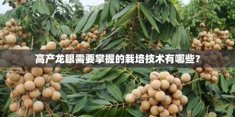 九寨沟8月应该怎么穿衣