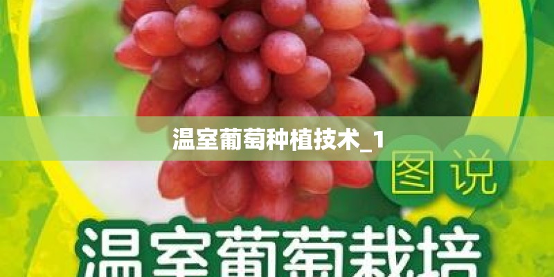 温室葡萄种植技术_1