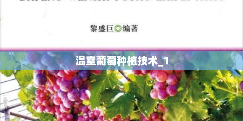 温室葡萄种植技术_1