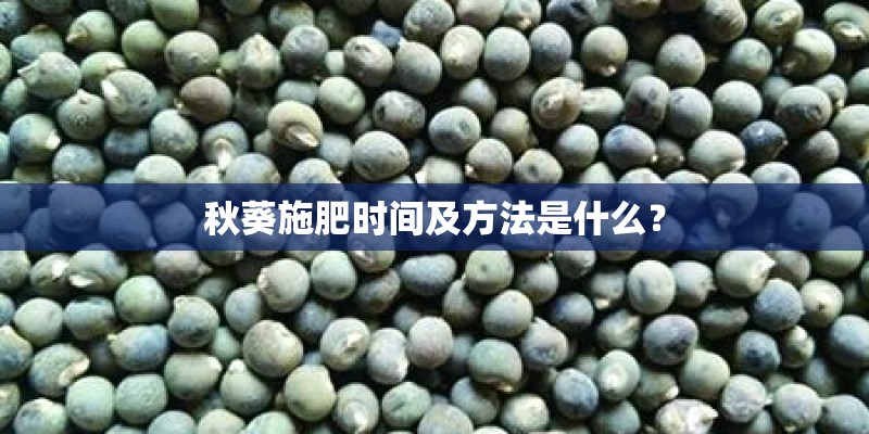 秋葵施肥时间及方法是什么？