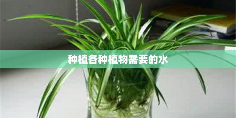 种植各种植物需要的水
