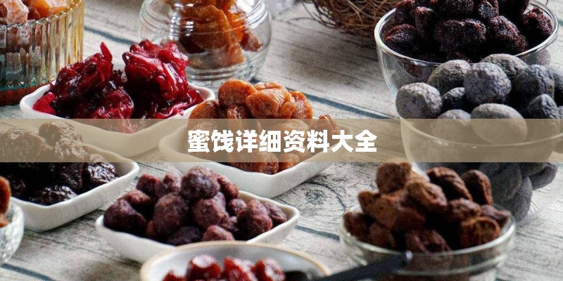 蜜饯详细资料大全