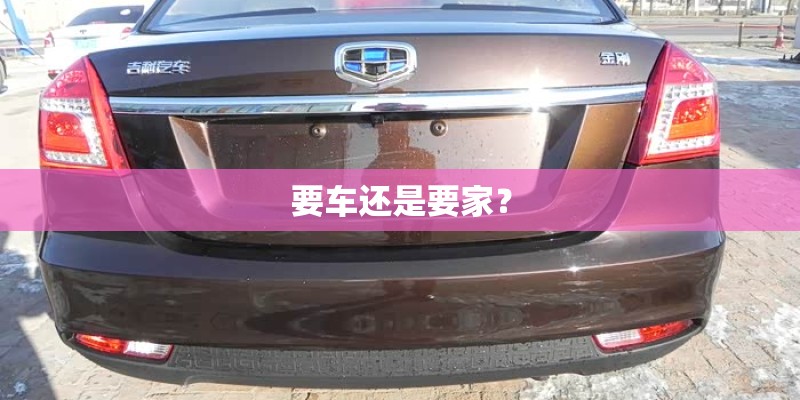 要车还是要家？