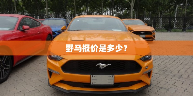野马报价是多少? 野马报价是多少?