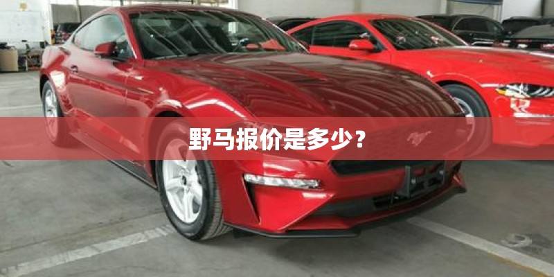 野马报价是多少? 野马报价是多少?