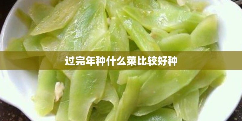 过完年种什么菜比较好种