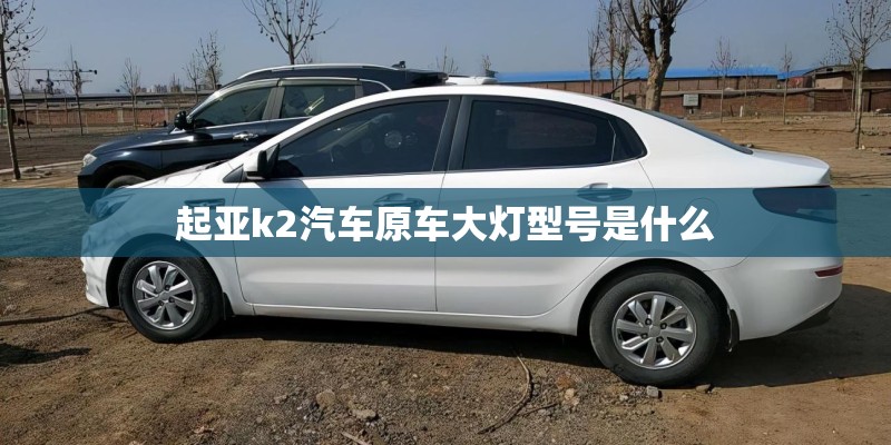 棕叶狗尾草地理分布有哪些？_1