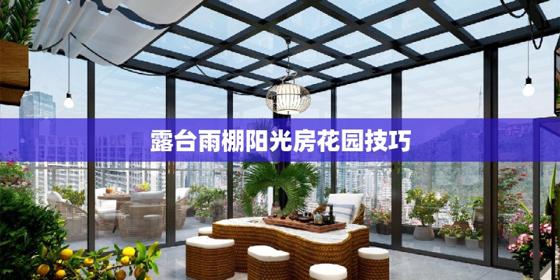 盆栽澳洲杉怎么养_1