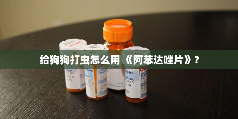 给狗狗打虫怎么用 《阿苯达唑片》? 给狗狗打虫怎么用 《阿苯达唑片》?
