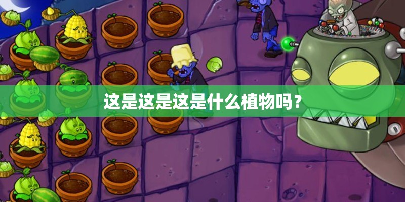 这是这是这是什么植物吗? 这是这是这是什么植物吗?
