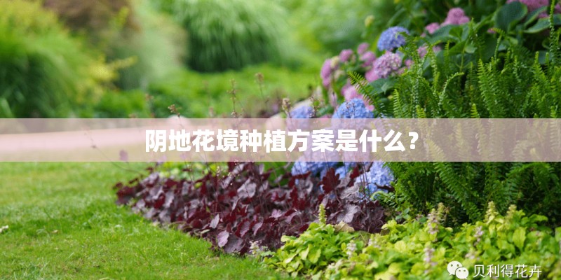 阴地花境种植方案是什么? 阴地花境种植方案是什么?
