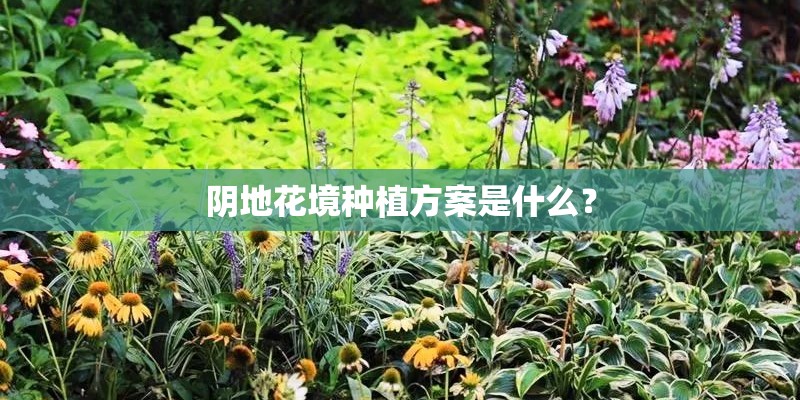 阴地花境种植方案是什么? 阴地花境种植方案是什么?