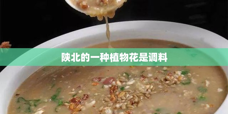 陕北的一种植物花是调料