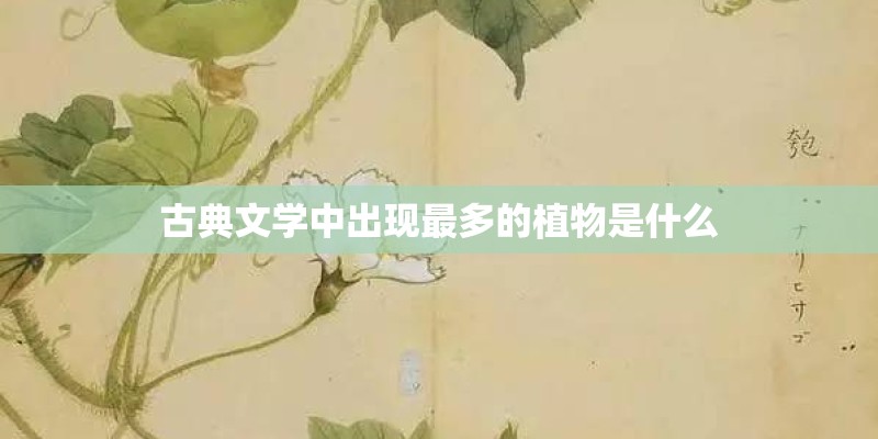 古典文学中出现最多的植物是什么