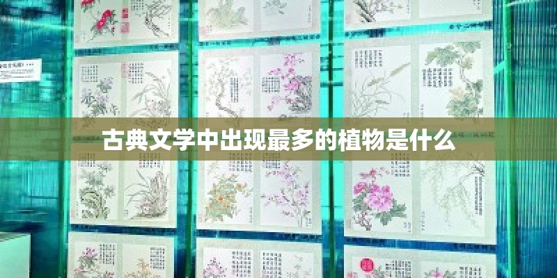 古典文学中出现最多的植物是什么