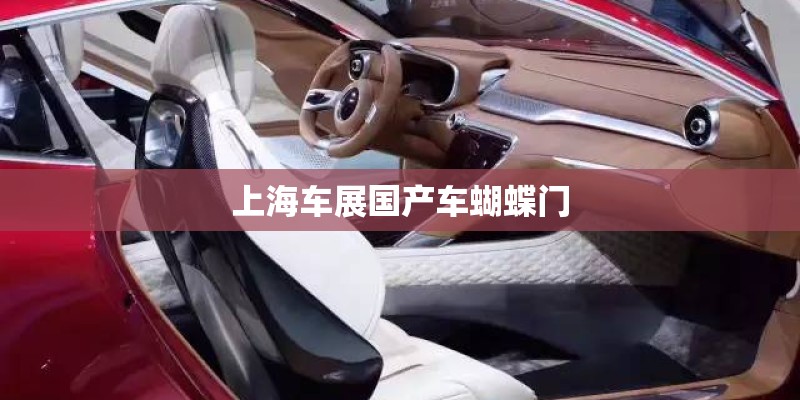 上海车展国产车蝴蝶门