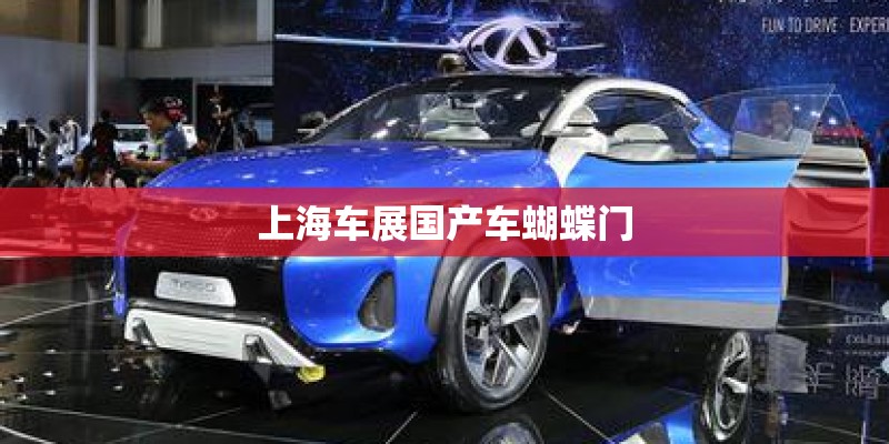上海车展国产车蝴蝶门