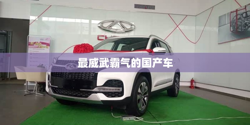 最威武霸气的国产车